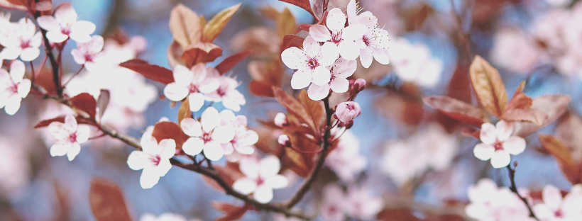 Soldes de printemps